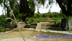ORAN CIMETIERE JUIF (16) 2009
